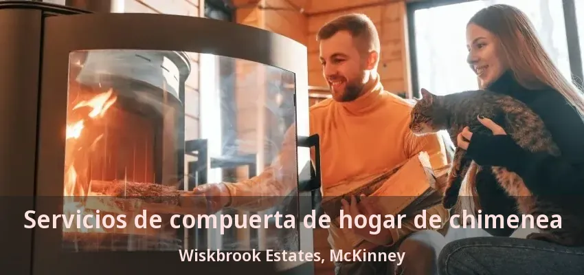 Servicios de compuerta de hogar de chimenea Wiskbrook Estates, McKinney - TX Servicios de compuerta de hogar de chimenea Wiskbrook Estates, McKinney - TX