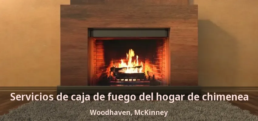 Servicios de caja de fuego del hogar de chimenea Woodhaven, McKinney - TX Servicios de caja de fuego del hogar de chimenea Woodhaven, McKinney - TX