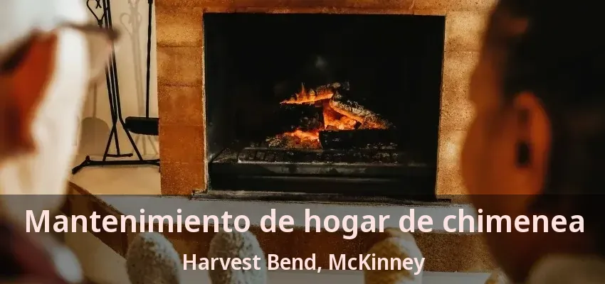 Mantenimiento de hogar de chimenea Harvest Bend, McKinney - TX