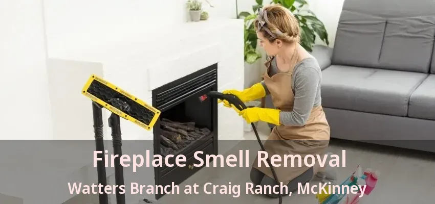 Fireplace Smell Removal Watters Branch at Craig Ranch, McKinney - TX