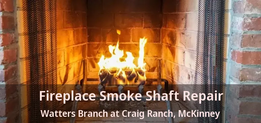 Fireplace Smoke Shaft Repair Watters Branch at Craig Ranch, McKinney - TX