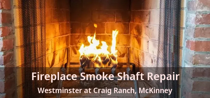 Fireplace Smoke Shaft Repair Westminster at Craig Ranch, McKinney - TX