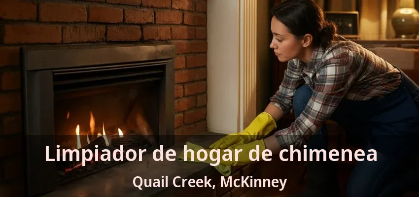 Limpiador de hogar de chimenea Quail Creek, McKinney - TX