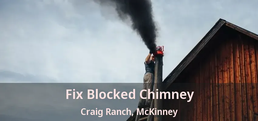 Fix Blocked Chimney Craig Ranch, McKinney - TX
