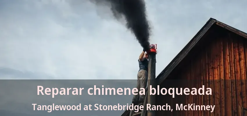 Reparar chimenea bloqueada Tanglewood at Stonebridge Ranch, McKinney - TX