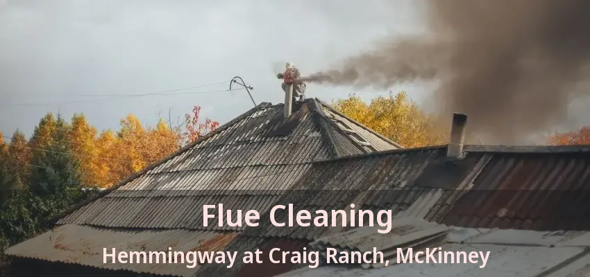 Flue Cleaning Hemmingway at Craig Ranch, McKinney - TX