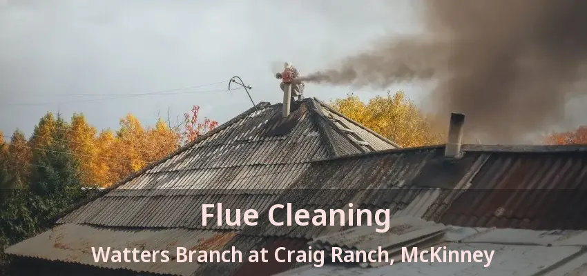 Flue Cleaning Watters Branch at Craig Ranch, McKinney - TX