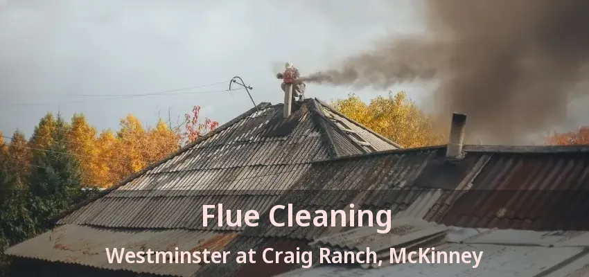 Flue Cleaning Westminster at Craig Ranch, McKinney - TX