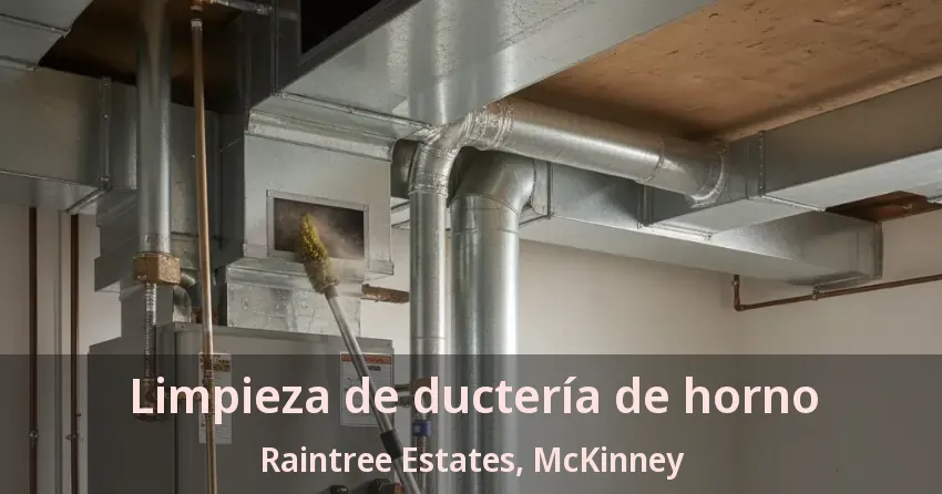 Limpieza de ductería de horno Raintree Estates, McKinney - TX
