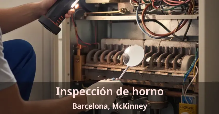 Inspección de horno Barcelona, McKinney - TX
