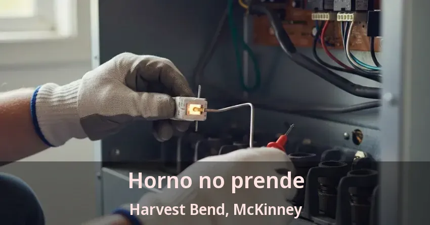 Horno no prende Harvest Bend, McKinney - TX