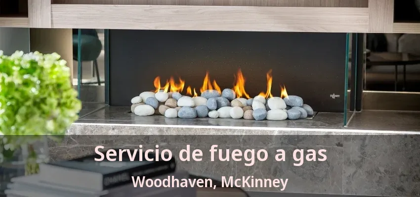 Servicio de fuego a gas Woodhaven, McKinney - TX