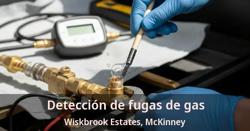 Detección de fugas de gas Wiskbrook Estates, McKinney - TX