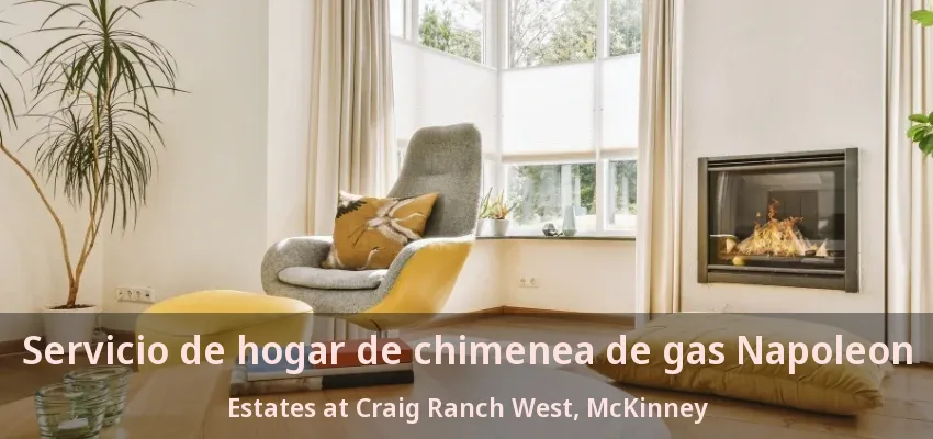 Servicio de hogar de chimenea de gas Napoleon Estates at Craig Ranch West, McKinney - TX