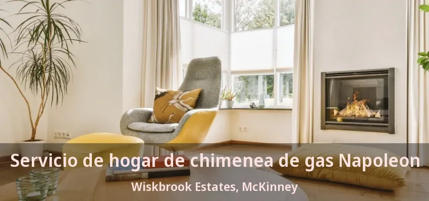 Servicio de hogar de chimenea de gas Napoleon Wiskbrook Estates, McKinney - TX