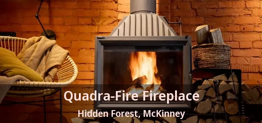 Quadra-Fire Fireplace Hidden Forest, McKinney - TX
