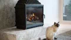 Wood Burning Fireplace Repair Stratford Manor, McKinney