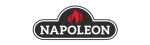 Napoleon Enviro Fireplace Repair in McKinney