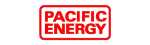 Pacific Energy Enviro Fireplace Repair in McKinney